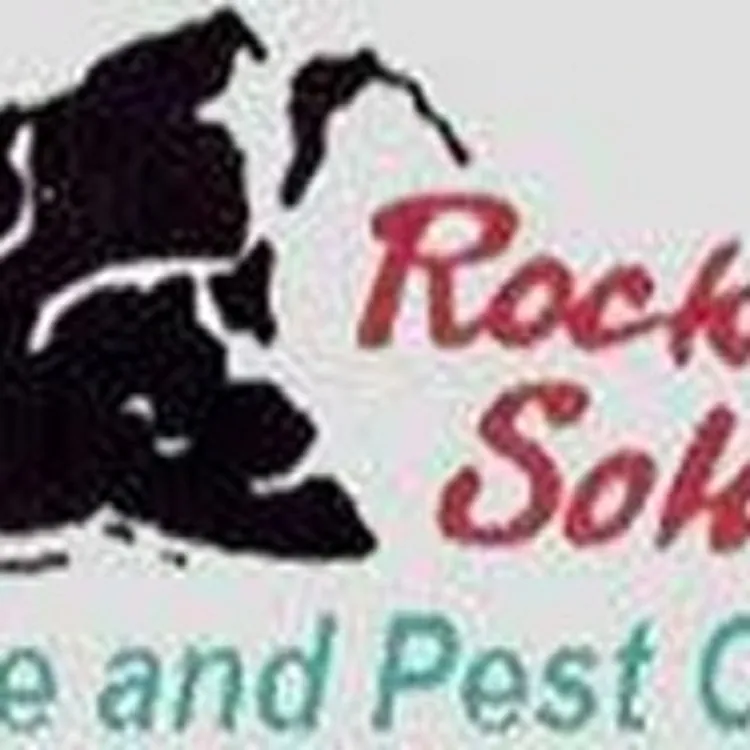 A Rock Solid Termite & Pest