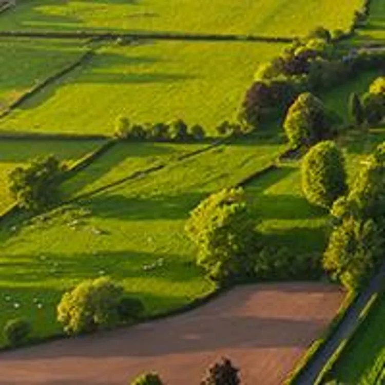 aerial rural landscape with house