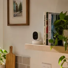Wired vs. Wireless Security Cameras image