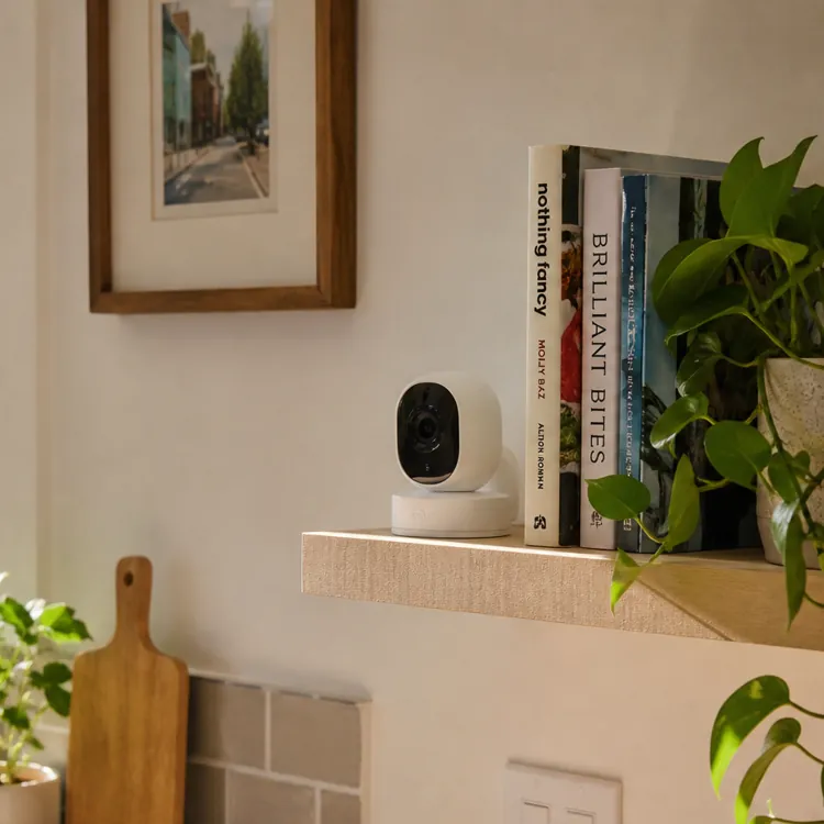 Small security camera on kitchen shelf with books and plants near sunlit window