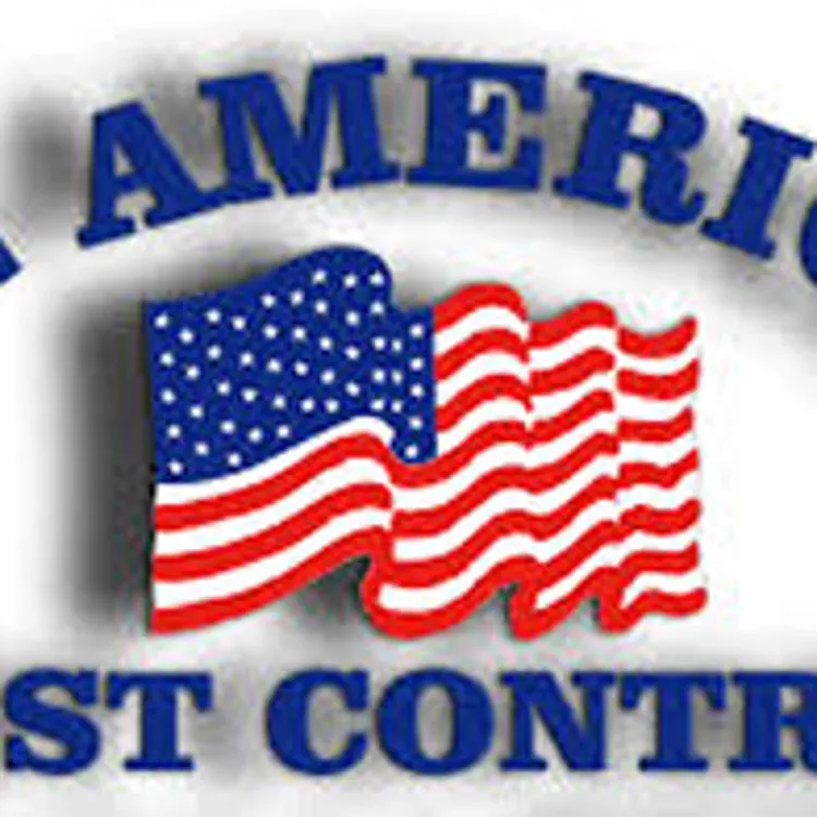 All American Pest Control
