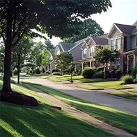 homes along a tree-lined street