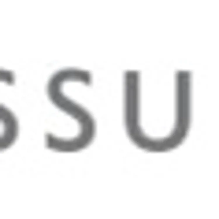 Assurant Flood Solutions Assurant Flood Solutions