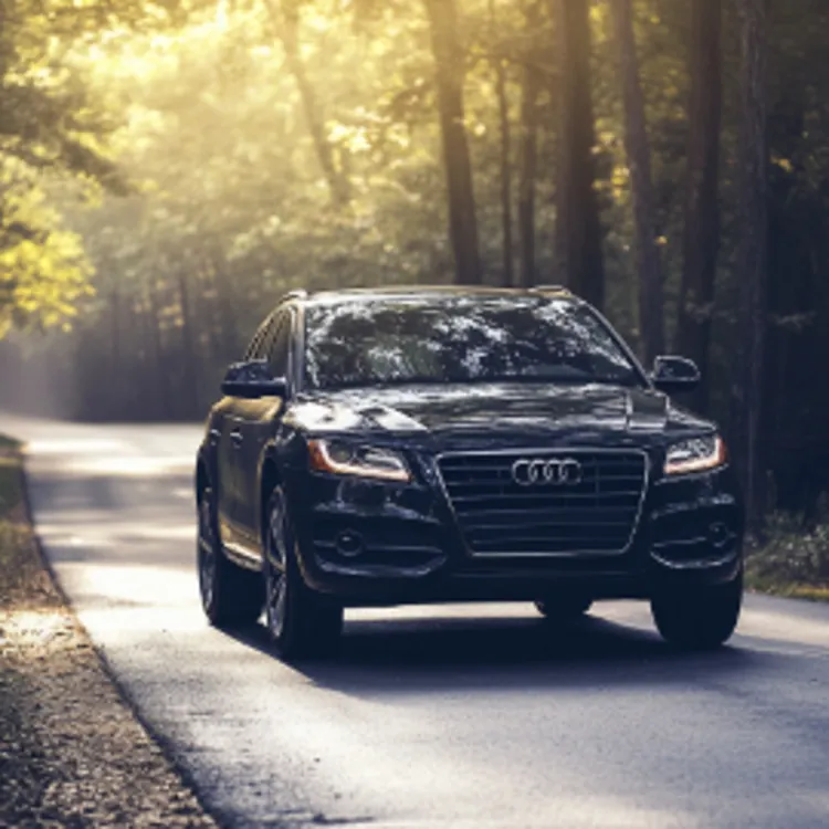 an Audi Q5 on a road in the forest