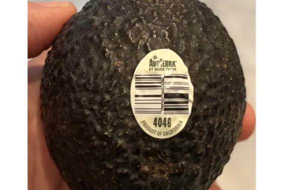 Hand holding a ripe avocado with a produce sticker labeled 4046 and product of California