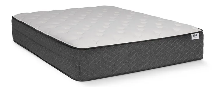 bear mattress