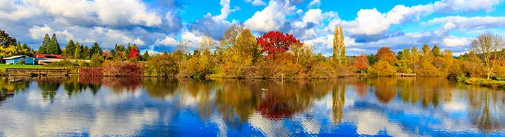 beaverton skyline