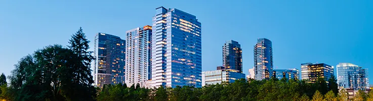bellevue skyline