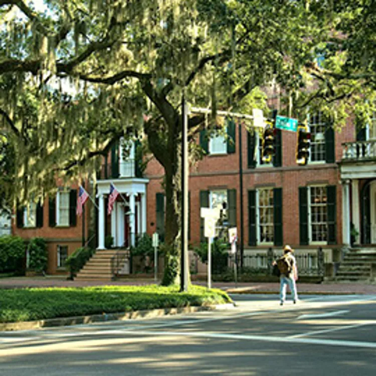 person crossing the street under willow trees