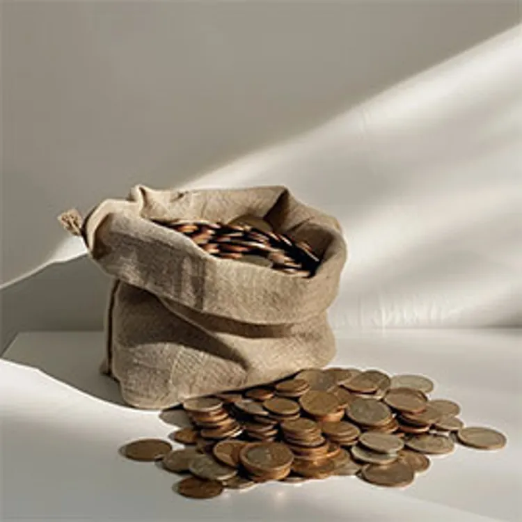 Coins on a table alongside a sack of coins