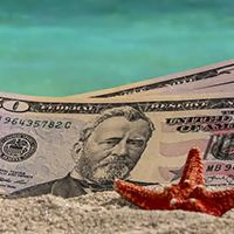 seashell beside a starfish in front of banknotes on sandy beach