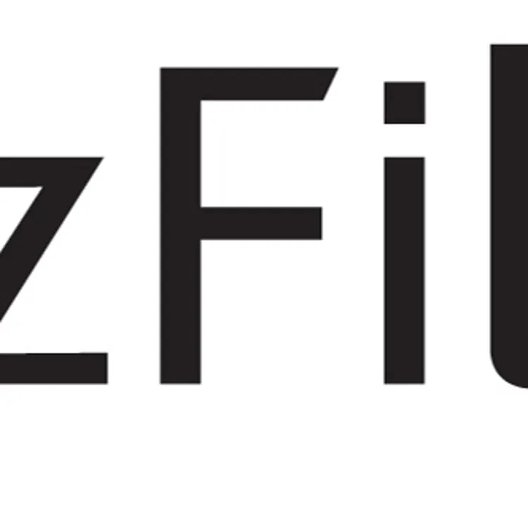 BizFilings BizFilings