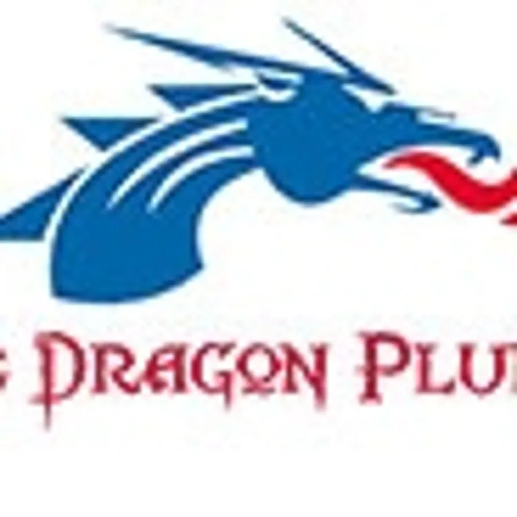 Blue Dragon Plumbing Blue Dragon Plumbing