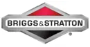 Briggs and Stratton