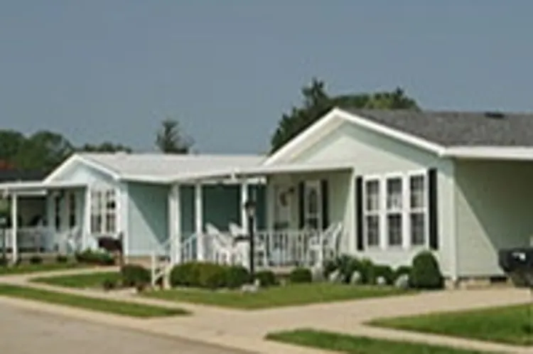 white houses in a street