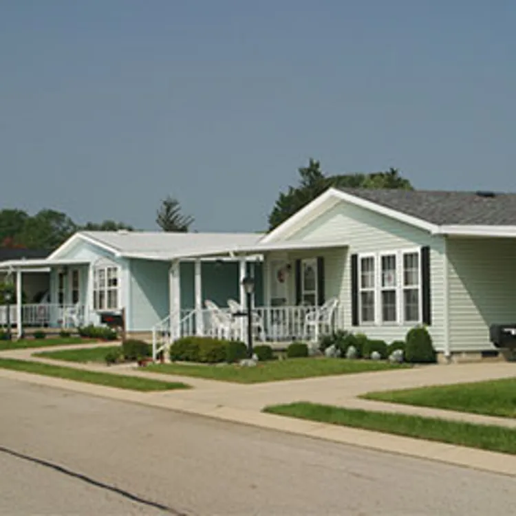 white houses in a street