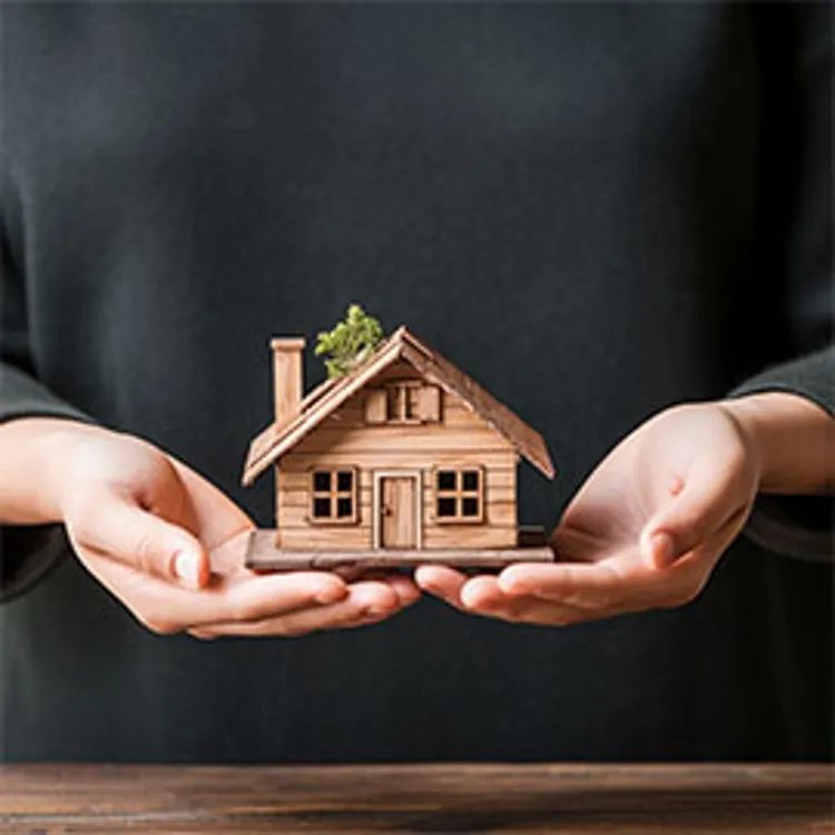 hands holding a house