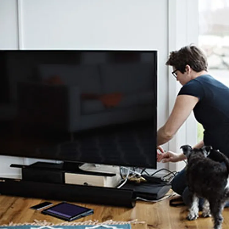 person sitting on a floor next to a tv and dog