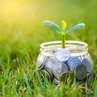 seedling planted in a glass jar filled with coins