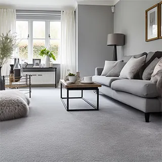 carpeted floor