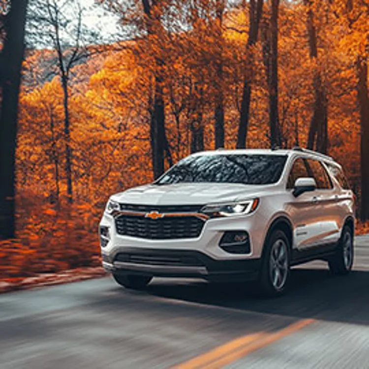 white suv on the road in fall