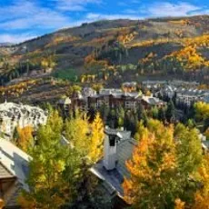 Best Moving Companies in Colorado of 2026 image