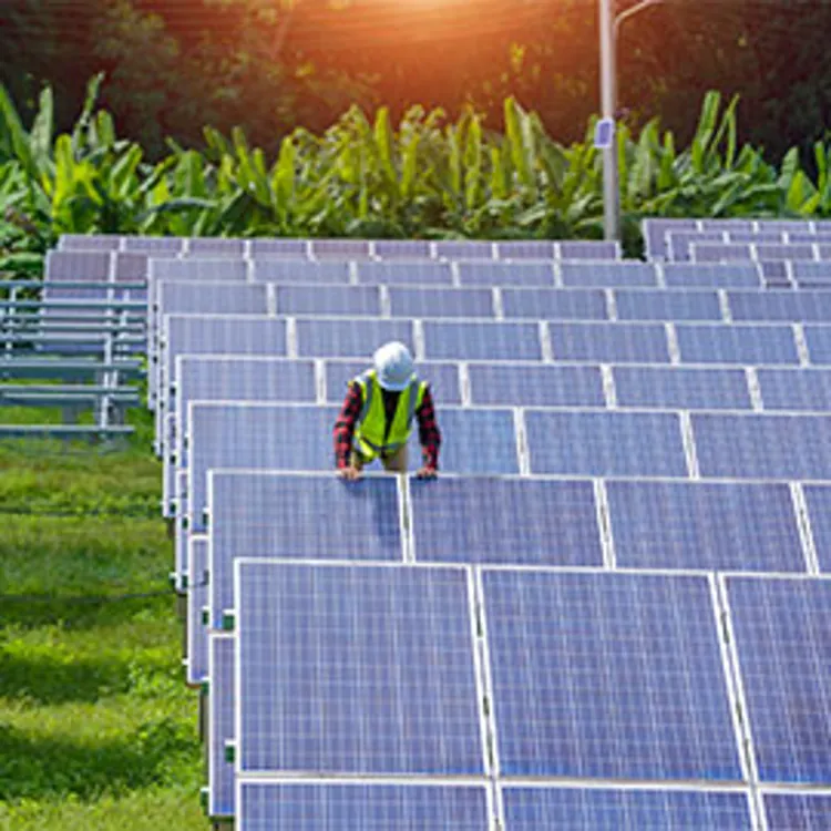 engineer checking solar panels