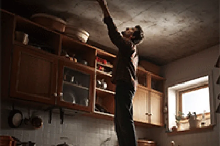 man inspecting ceiling leak