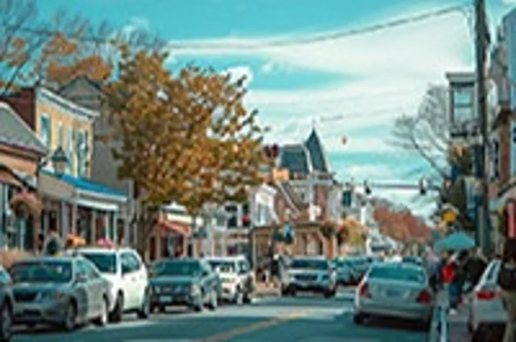 cars parked on suburban street