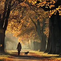 silhouette of woman and dog walking in a wooded trail