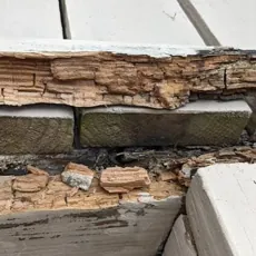 Do Home Warranties Cover Termites? image