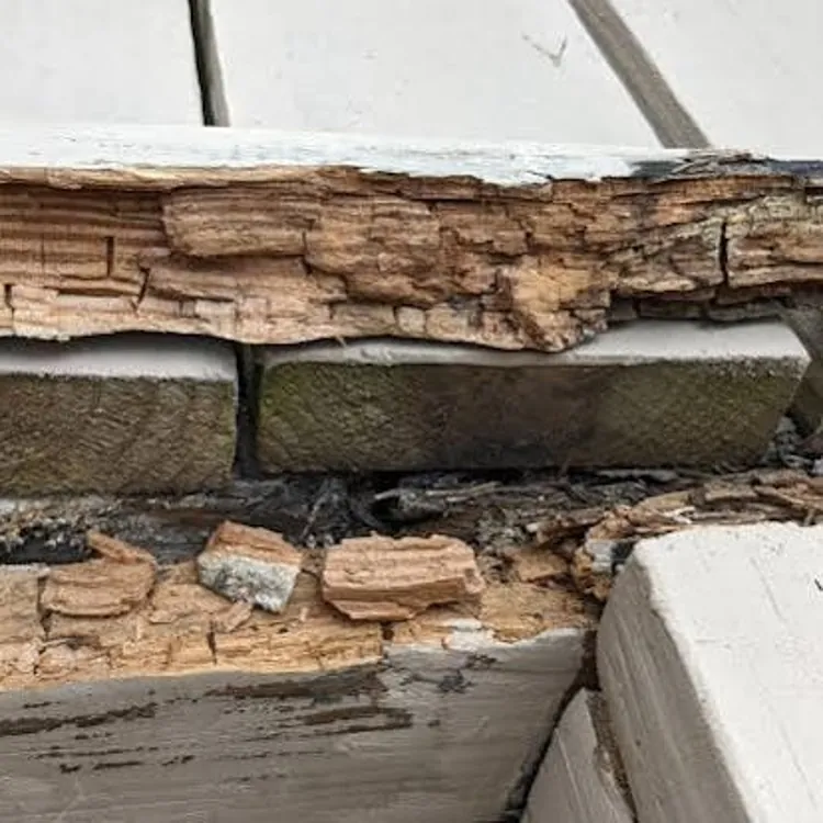 A damaged deck board showing extensive wood rot and crumbling edges.