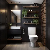modern toilet and sink