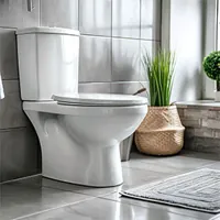 image showing a clean white toilet in a bathroom