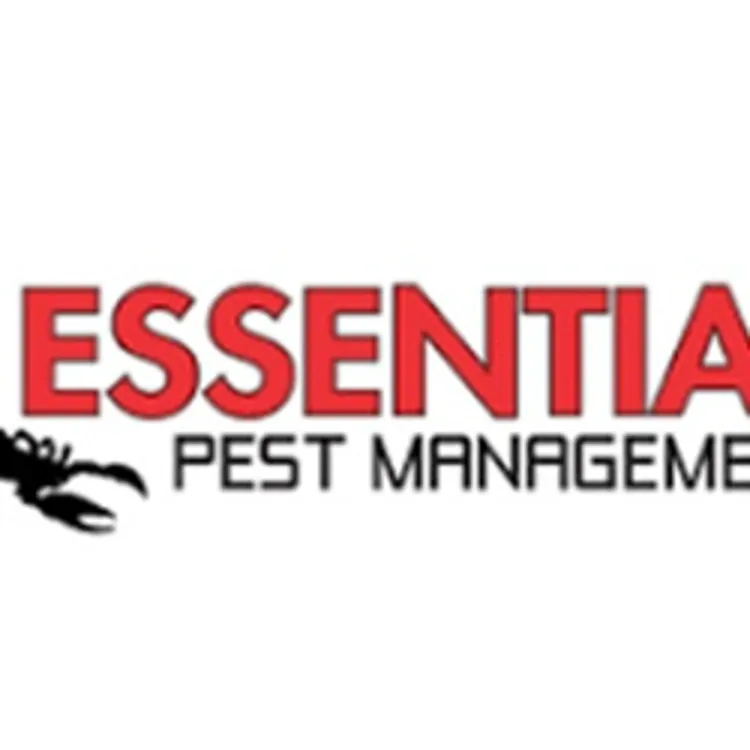 Essential Pest Management