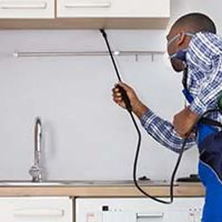 exterminator spraying pesticide under kitchen