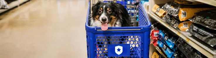 dog sitting in shopping cart in dog food aisle