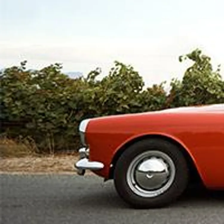 couple driving a car