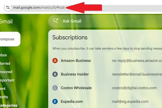 Gmail inbox open in a web browser showing a subscriptions list with sender names and emails