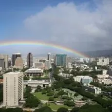 Best Moving Companies in Honolulu, HI of 2026 image