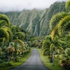 Best Home Warranty Companies in Hawaii 2026 image