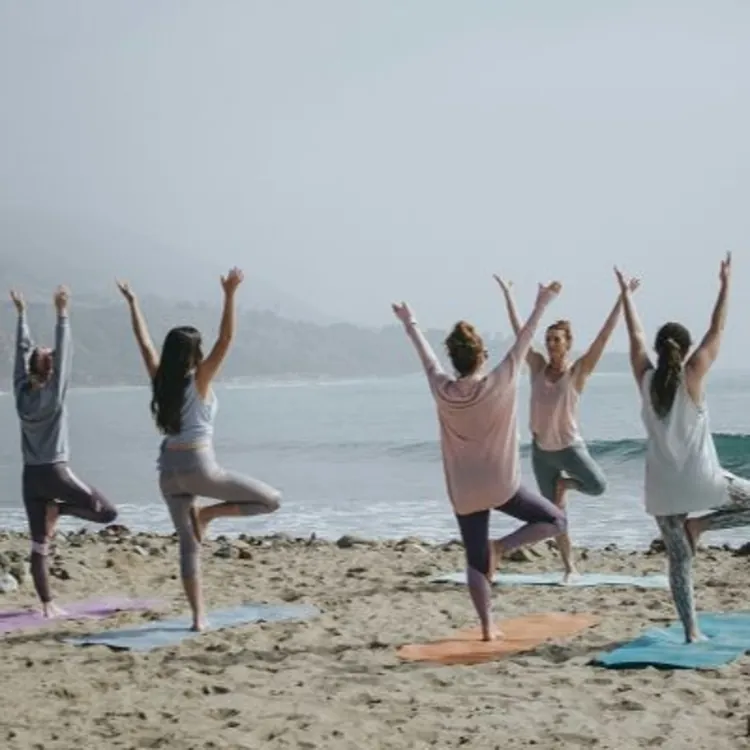 Approach health and wellness holistically