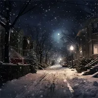 deserted residential road during the winter holidays