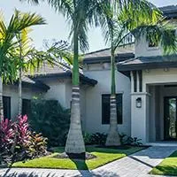 home with palm trees