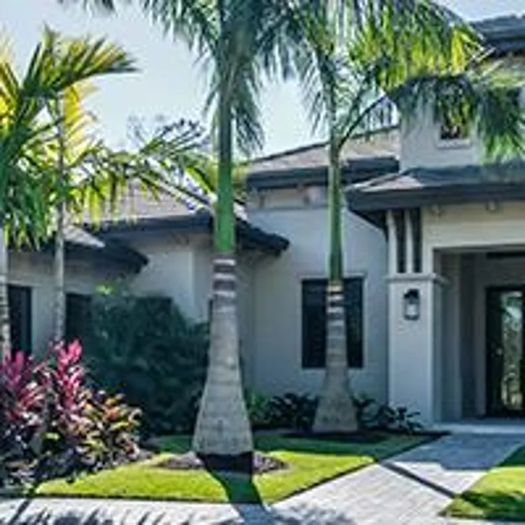 home with palm trees