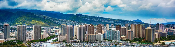 honolulu walk-in tubs skyline