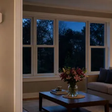 How Do Glass Breakage Sensors Work? image