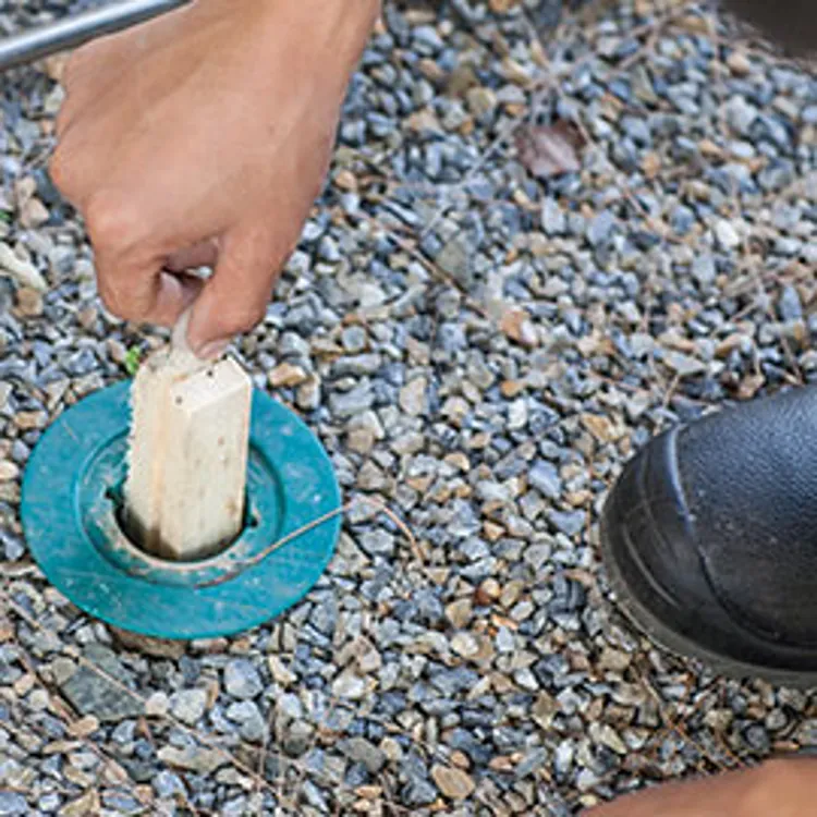 termite baiting system being replaced