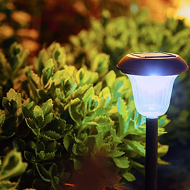 solar-powered lamp in front of flower bed