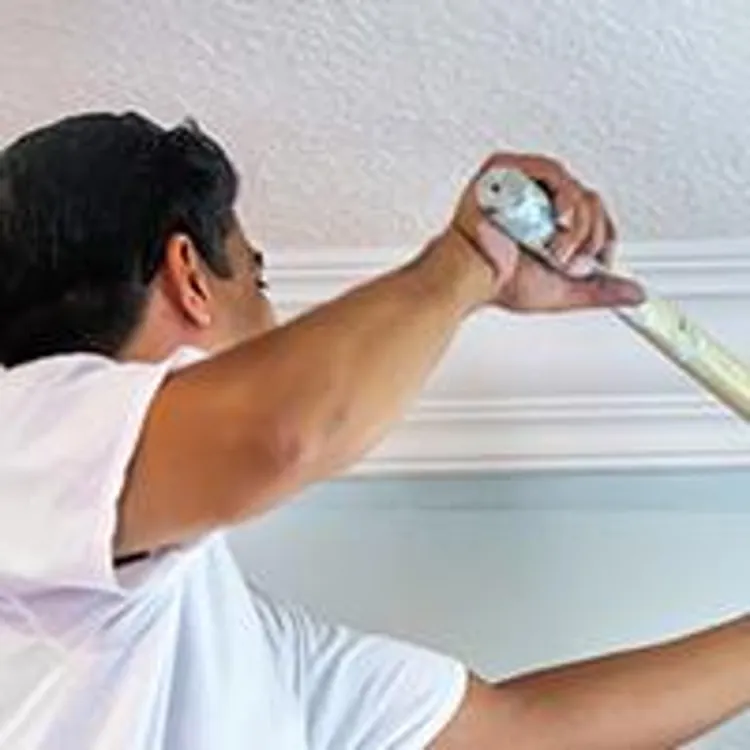 painter painting an interior wall